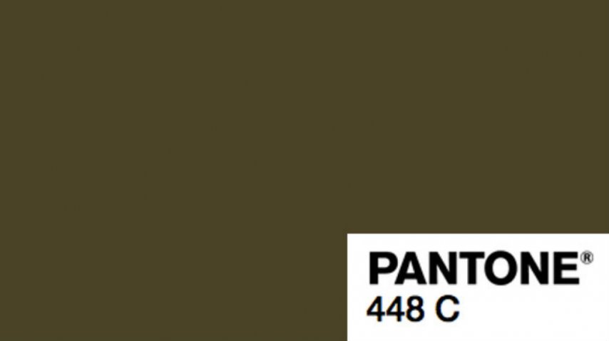 Color pantone 448C Color pantone 448C