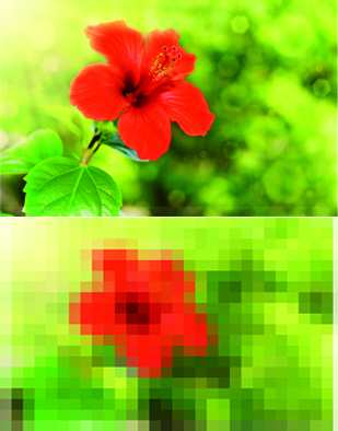 flor alta pixel
